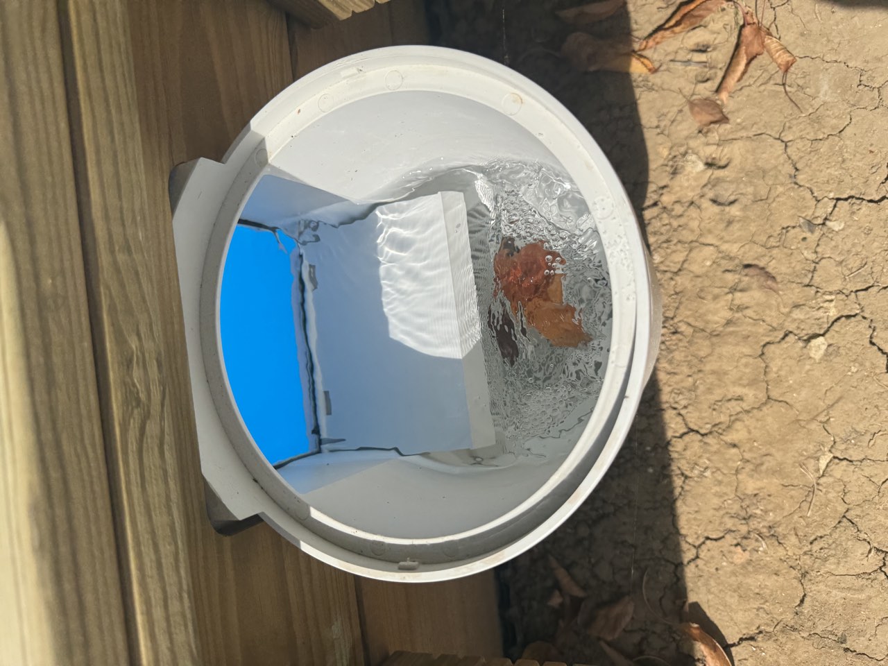 Skimmer